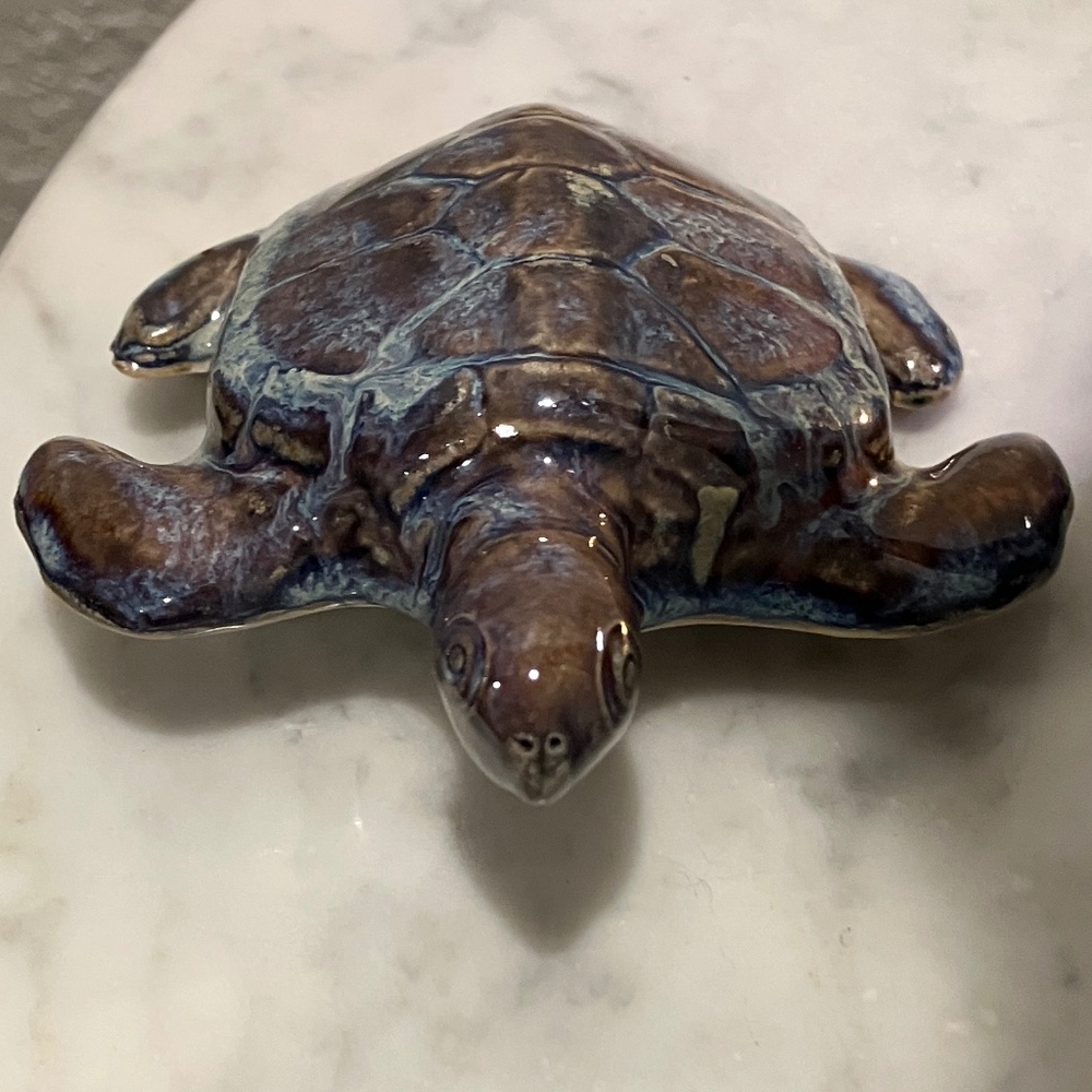 Sea Turtle - Picture 4 of 11